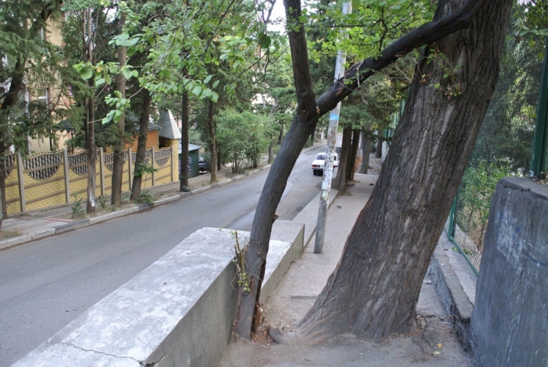 8 дней в Крыму в конце сентября 2016-го: Коктебель, Ялта, Севастополь