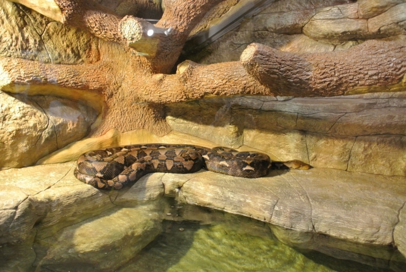 8 дней в Крыму в конце сентября 2016-го: Коктебель, Ялта, Севастополь