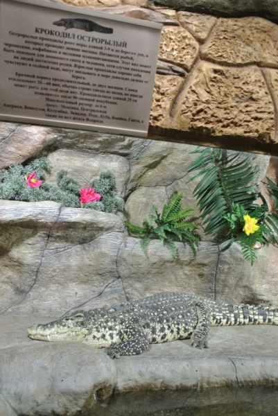 8 дней в Крыму в конце сентября 2016-го: Коктебель, Ялта, Севастополь