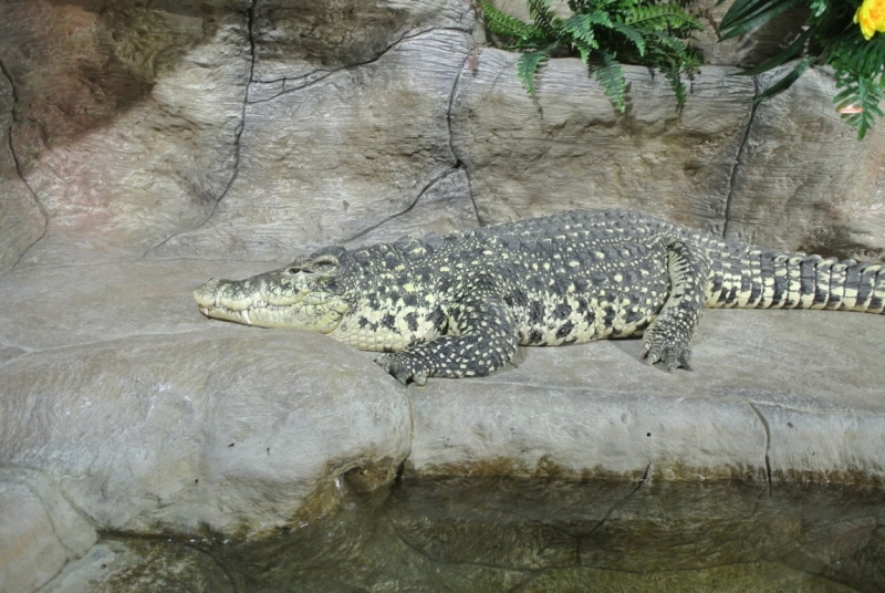 8 дней в Крыму в конце сентября 2016-го: Коктебель, Ялта, Севастополь