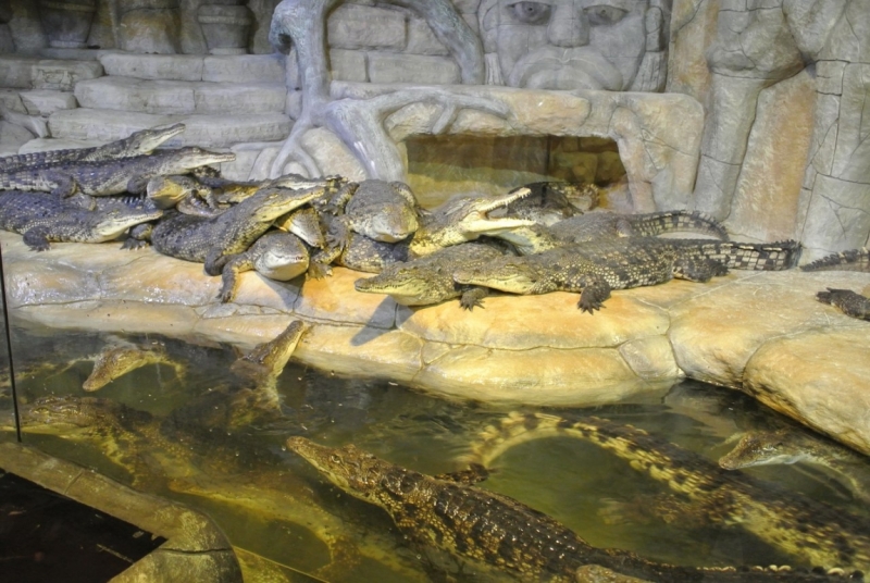 8 дней в Крыму в конце сентября 2016-го: Коктебель, Ялта, Севастополь