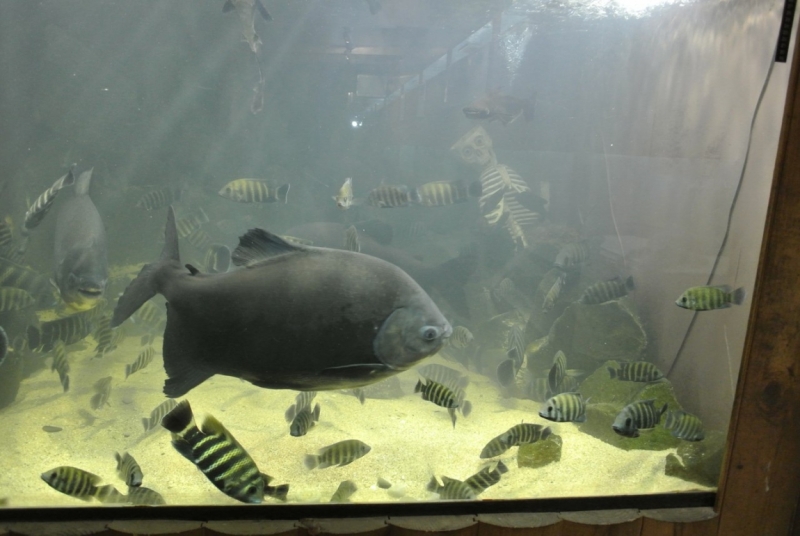 8 дней в Крыму в конце сентября 2016-го: Коктебель, Ялта, Севастополь