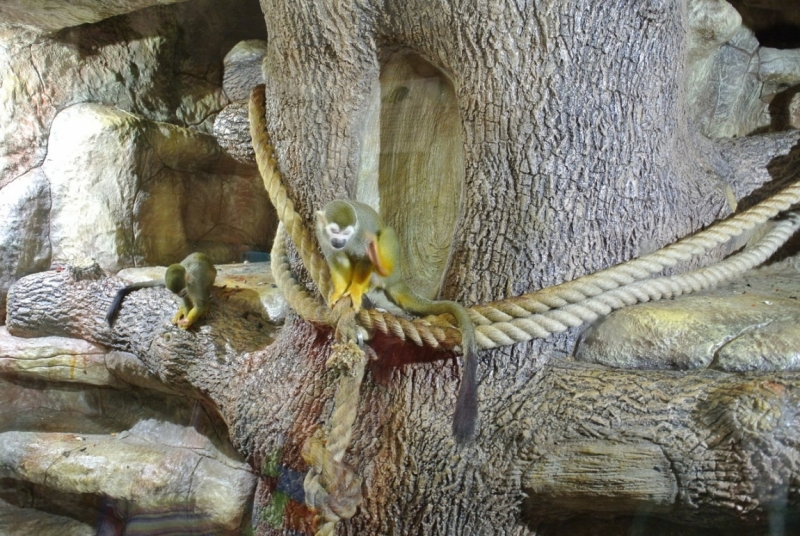 8 дней в Крыму в конце сентября 2016-го: Коктебель, Ялта, Севастополь