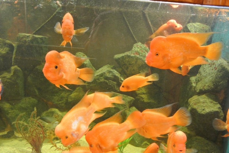 8 дней в Крыму в конце сентября 2016-го: Коктебель, Ялта, Севастополь