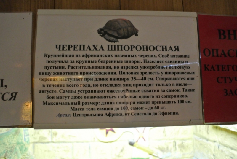 8 дней в Крыму в конце сентября 2016-го: Коктебель, Ялта, Севастополь