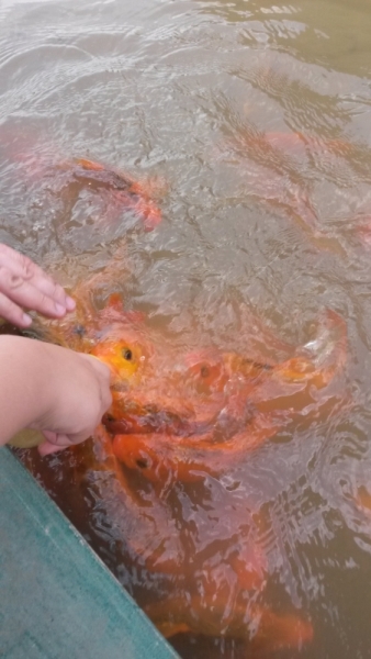 Нячанг: не в сердце, но в памяти