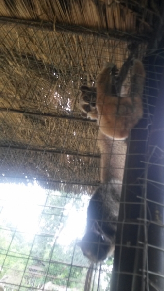 Нячанг: не в сердце, но в памяти