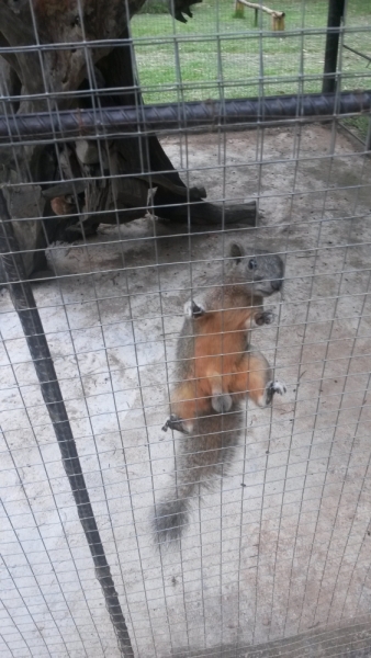 Нячанг: не в сердце, но в памяти