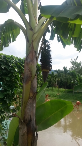 Нячанг: не в сердце, но в памяти