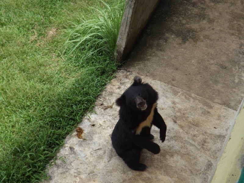 Нячанг: не в сердце, но в памяти
