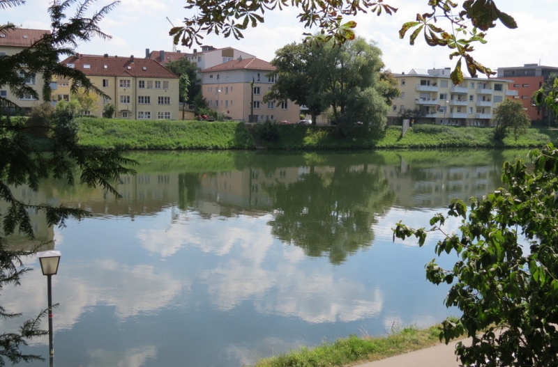 Мудрый воробей, недремлющий лев и букет для Санта-Клауса (Ульм - Линдау - остров Майнау)