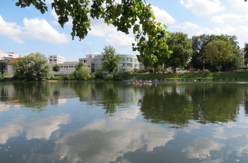 Мудрый воробей, недремлющий лев и букет для Санта-Клауса (Ульм - Линдау - остров Майнау)