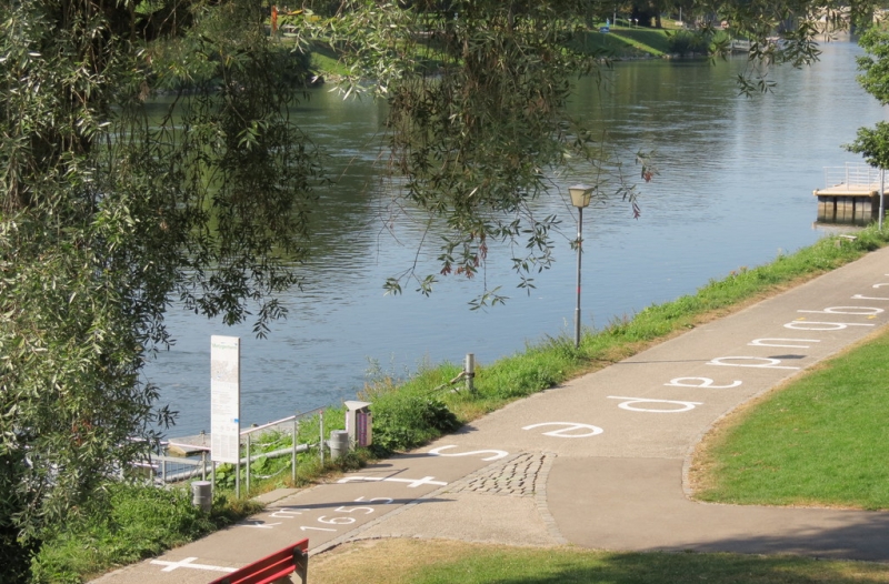 Мудрый воробей, недремлющий лев и букет для Санта-Клауса (Ульм - Линдау - остров Майнау)