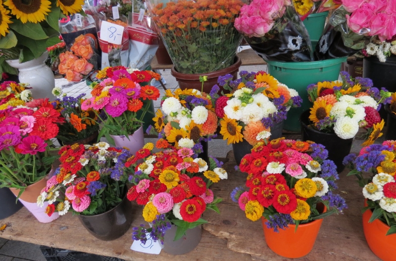 Мудрый воробей, недремлющий лев и букет для Санта-Клауса (Ульм - Линдау - остров Майнау)