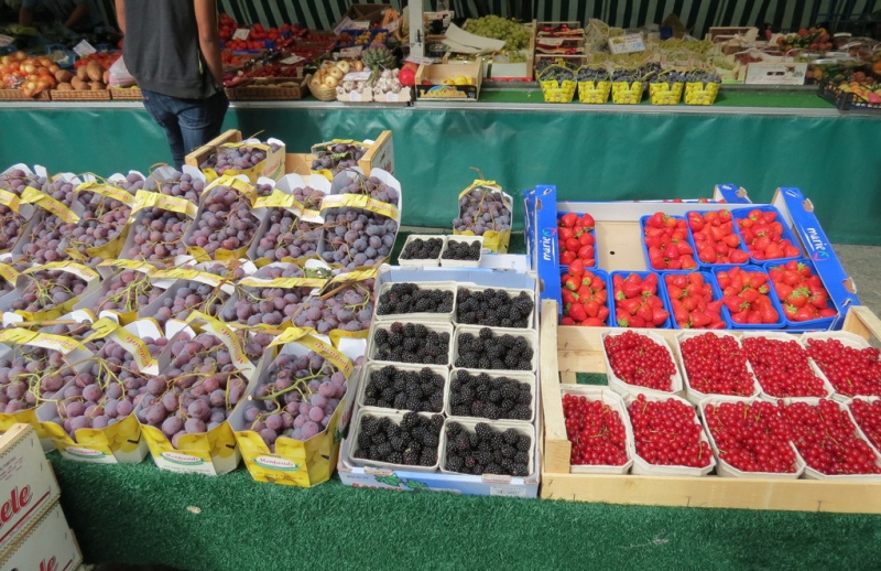 Мудрый воробей, недремлющий лев и букет для Санта-Клауса (Ульм - Линдау - остров Майнау)