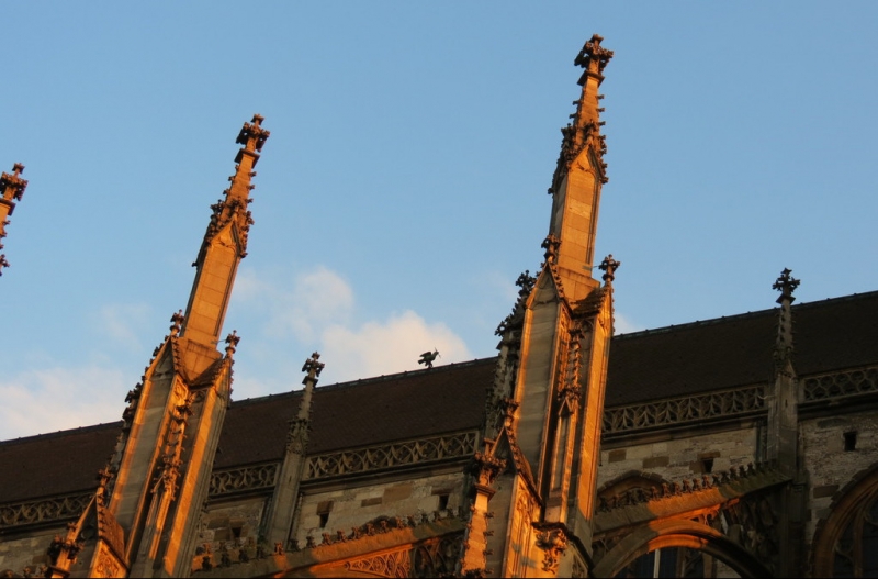 Мудрый воробей, недремлющий лев и букет для Санта-Клауса (Ульм - Линдау - остров Майнау)