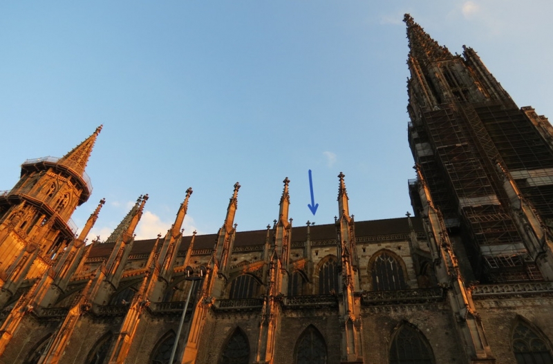 Мудрый воробей, недремлющий лев и букет для Санта-Клауса (Ульм - Линдау - остров Майнау)