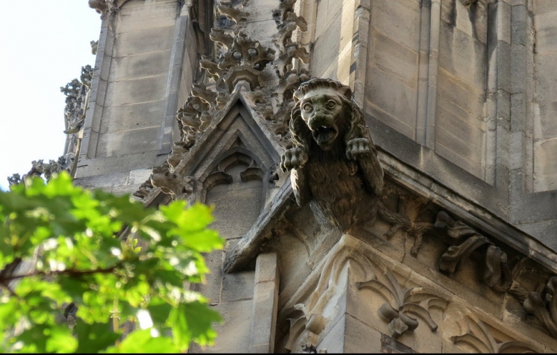 Мудрый воробей, недремлющий лев и букет для Санта-Клауса (Ульм - Линдау - остров Майнау)