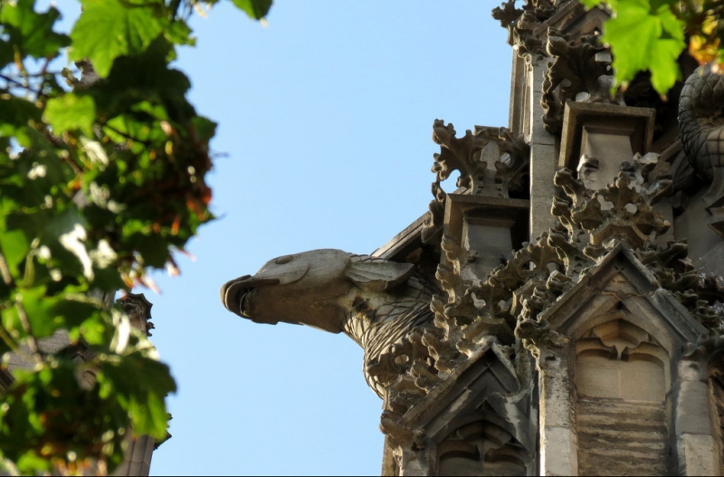 Мудрый воробей, недремлющий лев и букет для Санта-Клауса (Ульм - Линдау - остров Майнау)