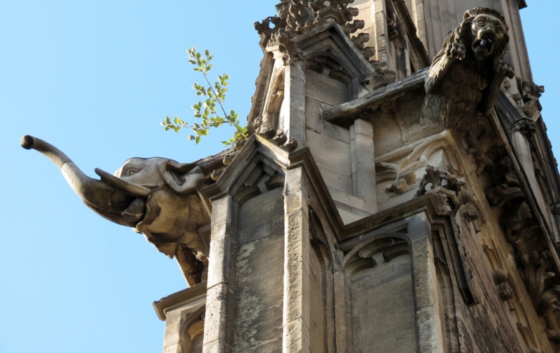 Мудрый воробей, недремлющий лев и букет для Санта-Клауса (Ульм - Линдау - остров Майнау)