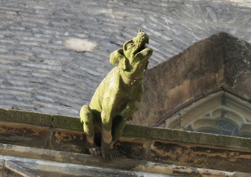 Мудрый воробей, недремлющий лев и букет для Санта-Клауса (Ульм - Линдау - остров Майнау)