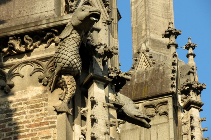 Мудрый воробей, недремлющий лев и букет для Санта-Клауса (Ульм - Линдау - остров Майнау)