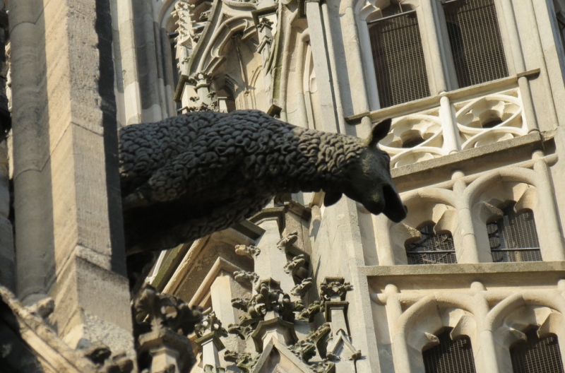 Мудрый воробей, недремлющий лев и букет для Санта-Клауса (Ульм - Линдау - остров Майнау)