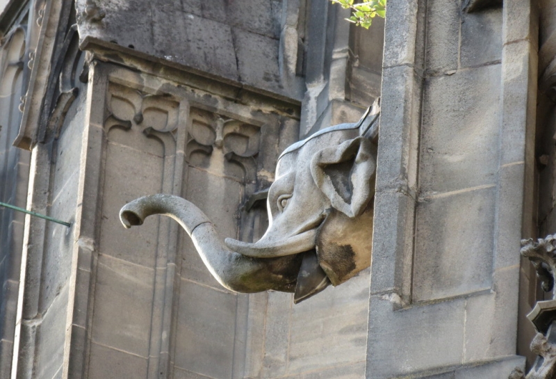 Мудрый воробей, недремлющий лев и букет для Санта-Клауса (Ульм - Линдау - остров Майнау)