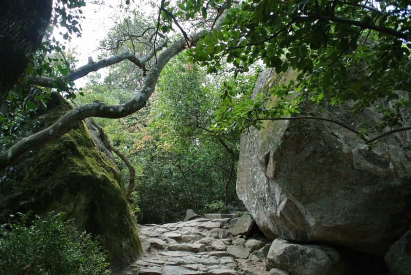 8 дней в Крыму в конце сентября 2016-го: Коктебель, Ялта, Севастополь