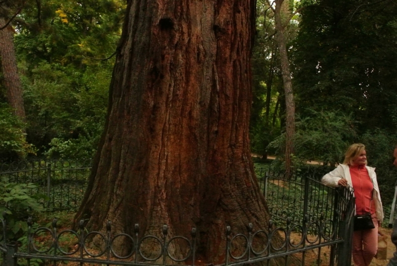 8 дней в Крыму в конце сентября 2016-го: Коктебель, Ялта, Севастополь