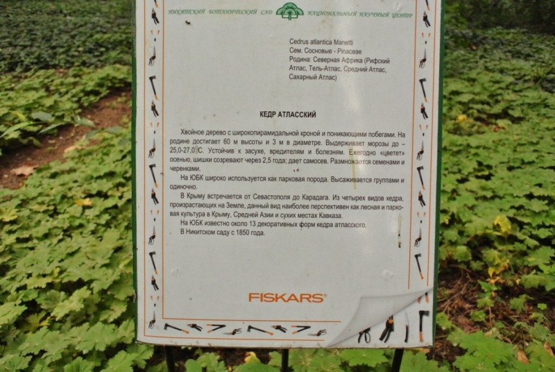 8 дней в Крыму в конце сентября 2016-го: Коктебель, Ялта, Севастополь