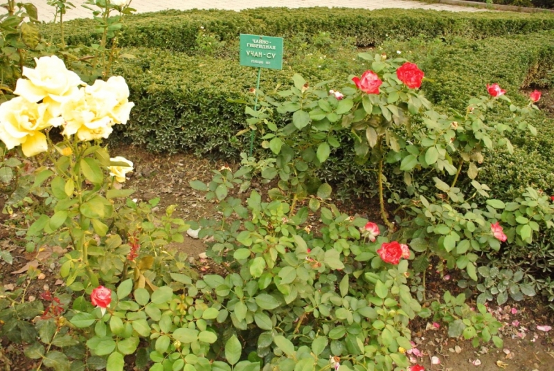 8 дней в Крыму в конце сентября 2016-го: Коктебель, Ялта, Севастополь