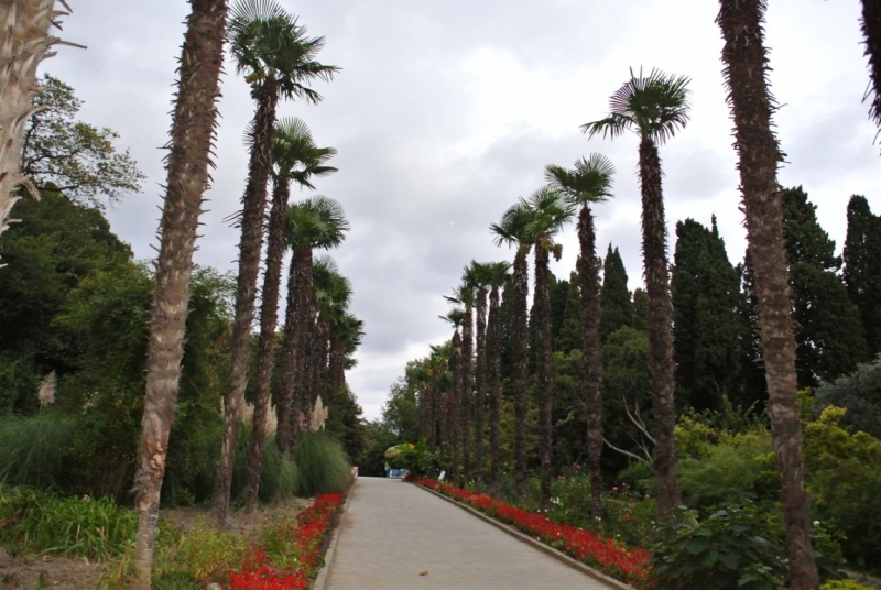 8 дней в Крыму в конце сентября 2016-го: Коктебель, Ялта, Севастополь