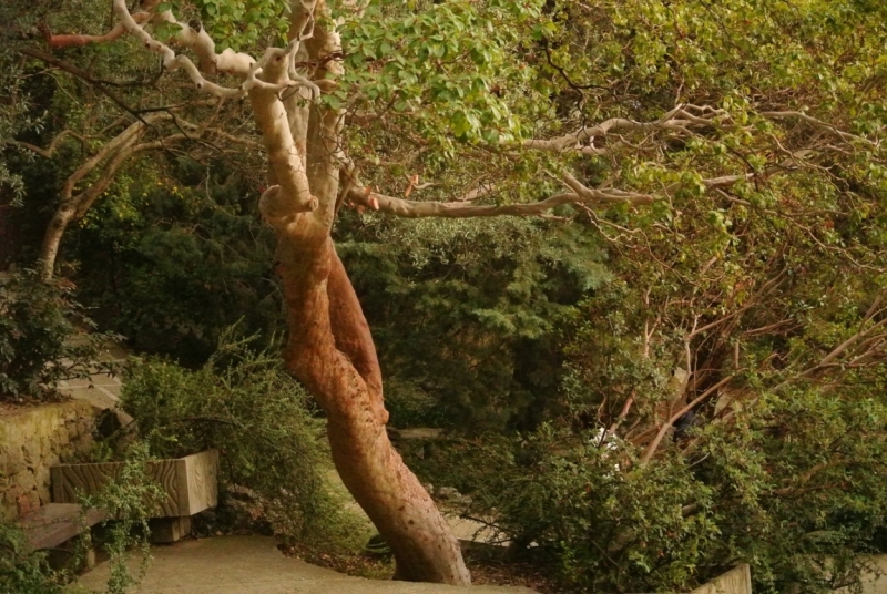 8 дней в Крыму в конце сентября 2016-го: Коктебель, Ялта, Севастополь