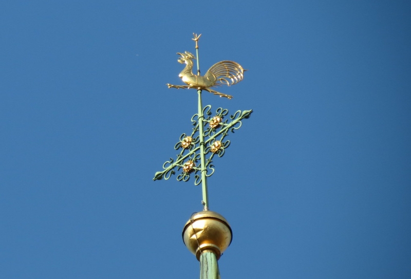 Мудрый воробей, недремлющий лев и букет для Санта-Клауса (Ульм - Линдау - остров Майнау)