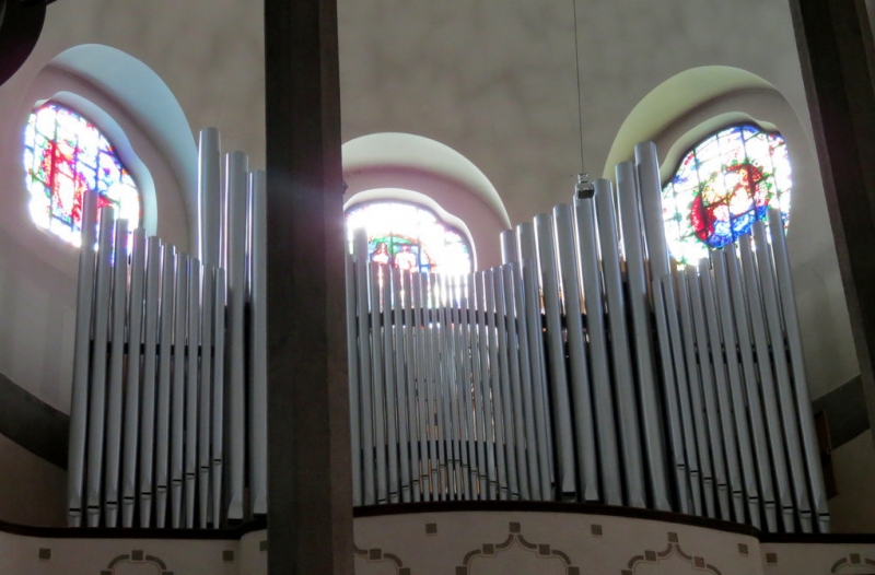 Мудрый воробей, недремлющий лев и букет для Санта-Клауса (Ульм - Линдау - остров Майнау)