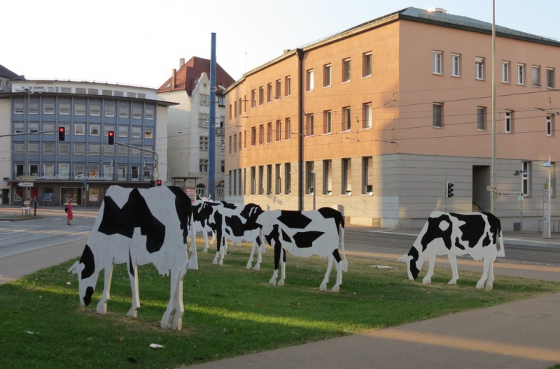 Мудрый воробей, недремлющий лев и букет для Санта-Клауса (Ульм - Линдау - остров Майнау)