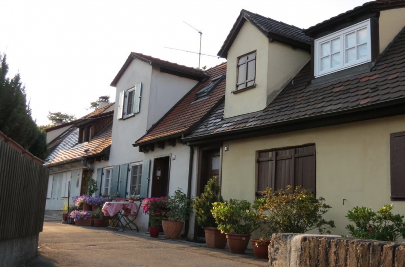 Мудрый воробей, недремлющий лев и букет для Санта-Клауса (Ульм - Линдау - остров Майнау)