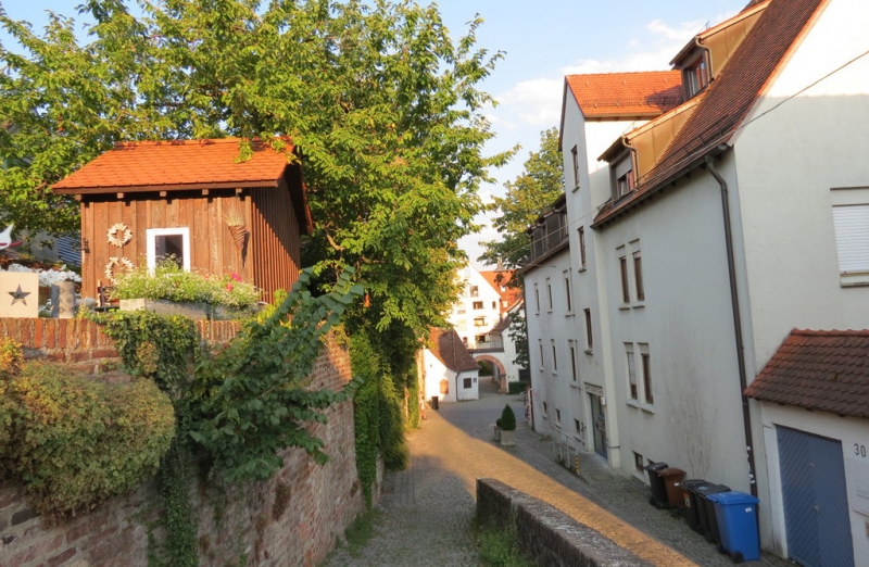 Мудрый воробей, недремлющий лев и букет для Санта-Клауса (Ульм - Линдау - остров Майнау)