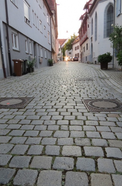 Мудрый воробей, недремлющий лев и букет для Санта-Клауса (Ульм - Линдау - остров Майнау)