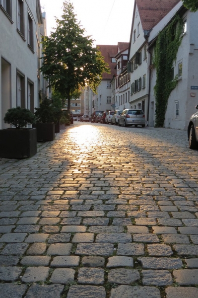 Мудрый воробей, недремлющий лев и букет для Санта-Клауса (Ульм - Линдау - остров Майнау)