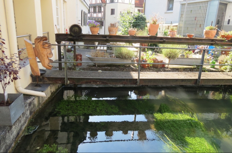 Мудрый воробей, недремлющий лев и букет для Санта-Клауса (Ульм - Линдау - остров Майнау)