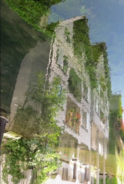 Мудрый воробей, недремлющий лев и букет для Санта-Клауса (Ульм - Линдау - остров Майнау)