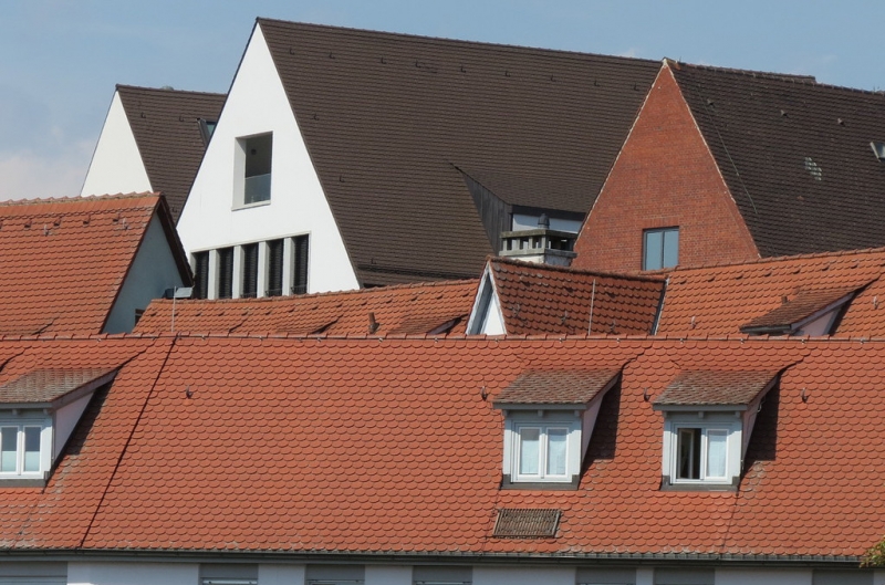 Мудрый воробей, недремлющий лев и букет для Санта-Клауса (Ульм - Линдау - остров Майнау)