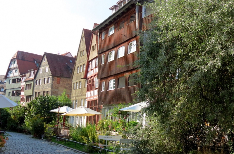 Мудрый воробей, недремлющий лев и букет для Санта-Клауса (Ульм - Линдау - остров Майнау)