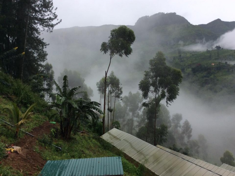 Помогите  скорректировать маршрут   неумелому туристу