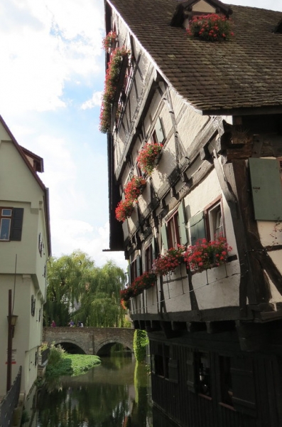 Мудрый воробей, недремлющий лев и букет для Санта-Клауса (Ульм - Линдау - остров Майнау)