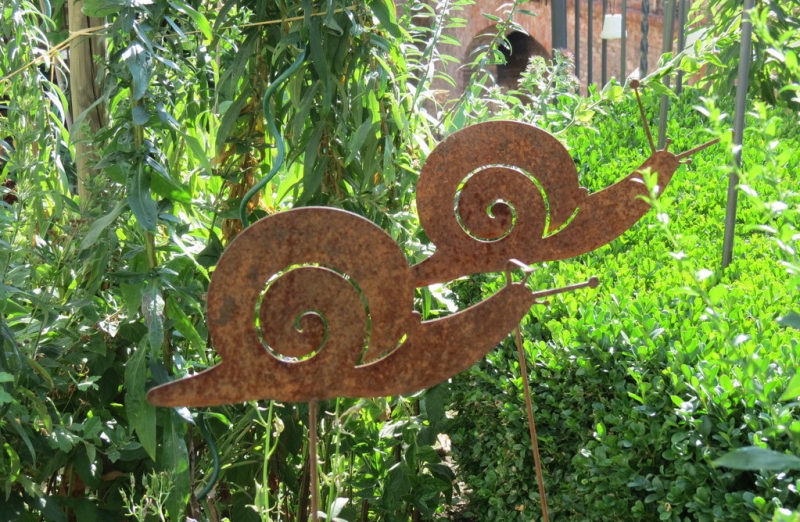 Мудрый воробей, недремлющий лев и букет для Санта-Клауса (Ульм - Линдау - остров Майнау)