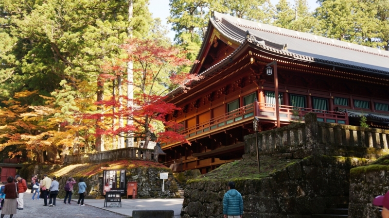 Всего 9 неполных дней в Японии - прошу  совета!!