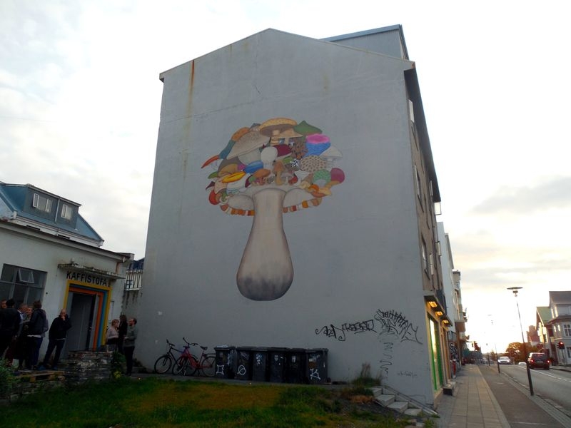 11 дней вокруг Исландии летом 2015